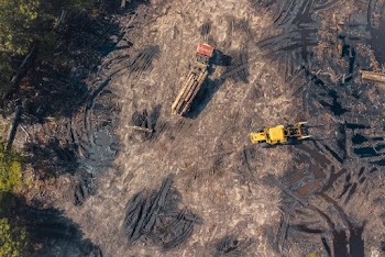 Aerial Photo of Truck Carrying Timber