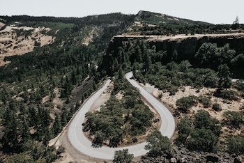 aerial photo of u-shape road surrounded by trees at daytime