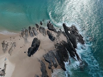 Aerial Photo of White Sandy Beach during the Day
