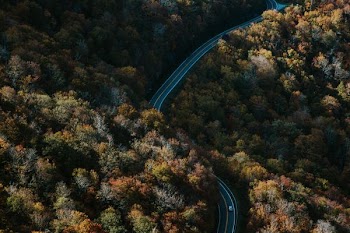 aerial photo of winding road