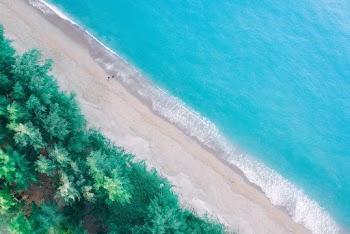 Aerial Photograph of Beach