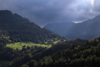 Aerial Photograph of Mountains and Trees
