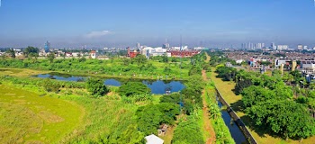 Aerial Photography Green Trees