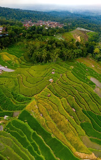 Aerial Photography of a Beautiful Landscape