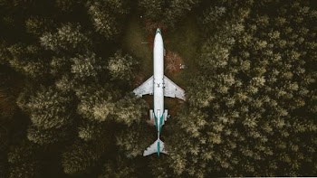 aerial photography of an airplane surrounded with trees