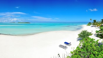 Aerial Photography of Beach