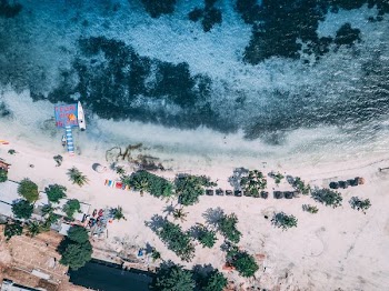 aerial photography of beach at daytime