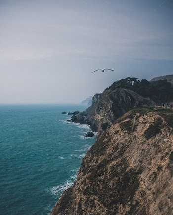 Aerial Photography of Beach Shore