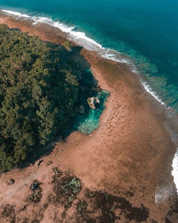 aerial photography of beach shore