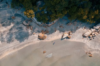 Aerial Photography of Beach Shore With Trees Nearby