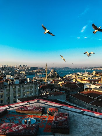 Aerial Photography of Birds Above Buildings