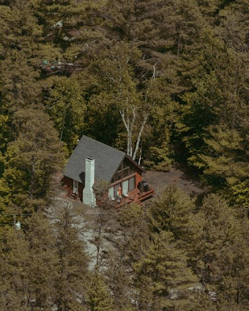 Aerial Photography of Black and Brown House Surrounded by Trees