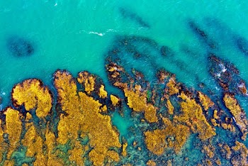 Aerial Photography of Blue Sea Near Seashore