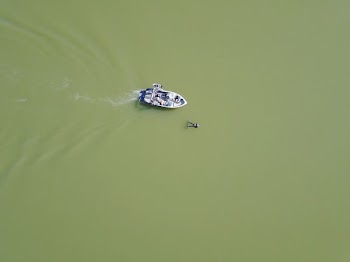 aerial photography of boat