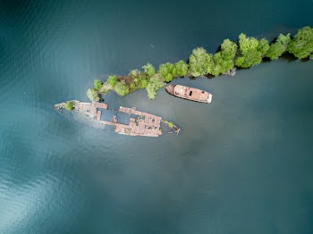 Aerial Photography of Boat and Green Trees on Top of Water