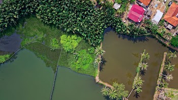 Aerial Photography of Body of Water