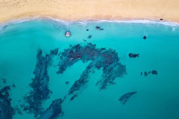 aerial photography of body of water
