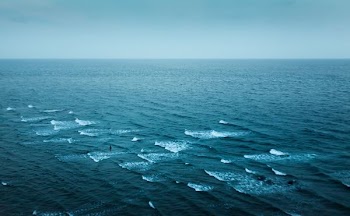 aerial photography of body of water