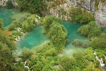 aerial photography of body of water and green trees