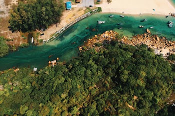 Aerial Photography of Body of Water and Trees