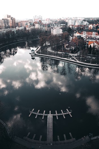 Aerial Photography of Body of Water Beside Buildings