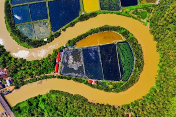 Aerial Photography of Body of Water Near Trees