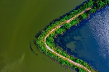 Aerial Photography of Body of Water Near Trees