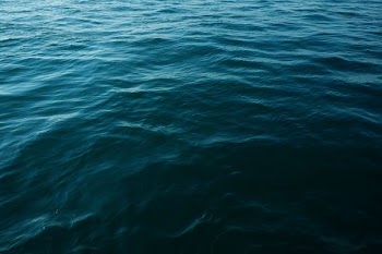 aerial photography of body of wter