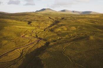 Aerial Photography of Brown Field