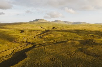 Aerial Photography of Brown Field