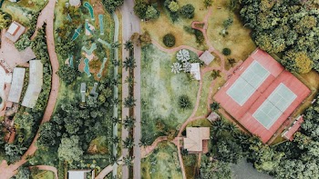 Aerial Photography of Brown House and Trees