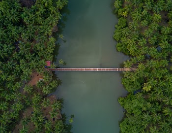 Aerial Photography of Brown Wooden Foot Bridge Connecting Two Forests