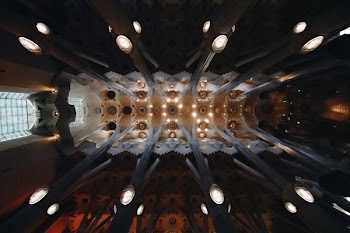 aerial photography of building interior