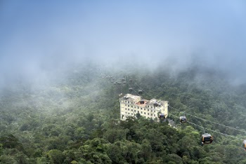 Aerial Photography of Building Surrounded by Trees
