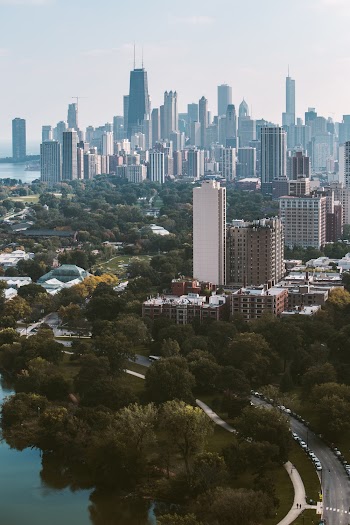 Aerial Photography Of Buildings