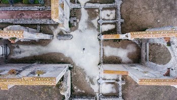 aerial photography of buildings