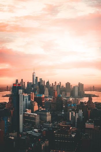 aerial photography of buildings