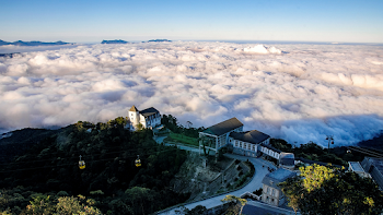 Aerial Photography Of Buildings