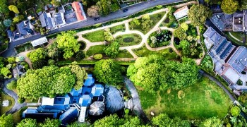 aerial photography of buildings near trees
