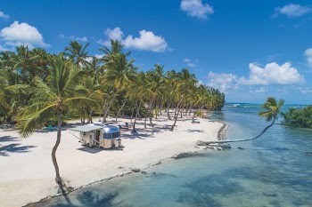 aerial photography of camper truck on shore near coconut trees