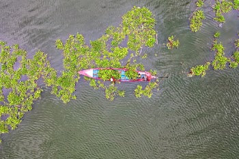 Aerial Photography Of Canoe In Water