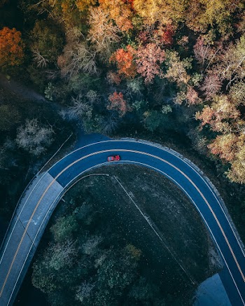 Aerial Photography of Car Driving on Road Between Trees