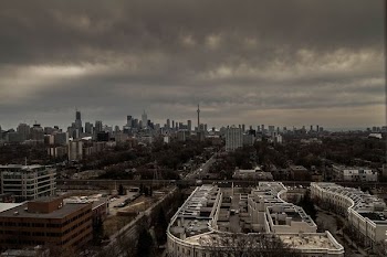 aerial photography of city