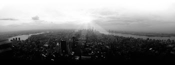 aerial photography of city beside body of water