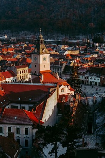 aerial photography of city during daytime