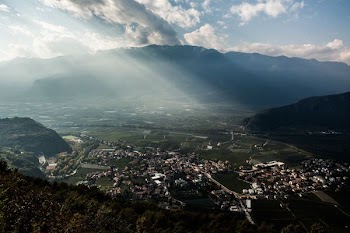 aerial photography of city during daytime