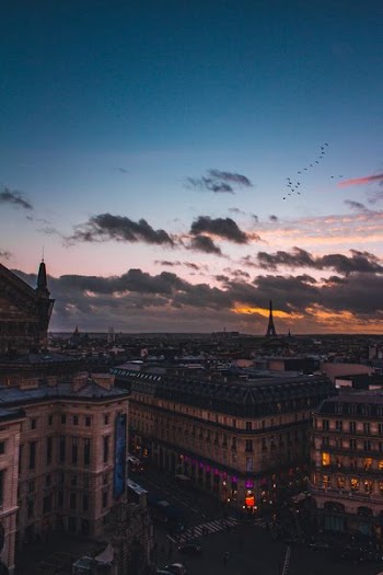 aerial photography of city scapes during blue hour