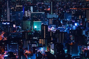 aerial photography of cityscape