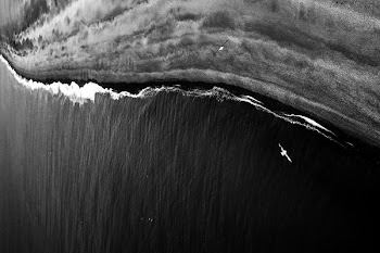 aerial photography of coastline