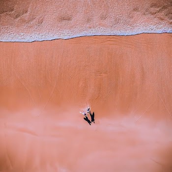 aerial photography of couple walking on seashore